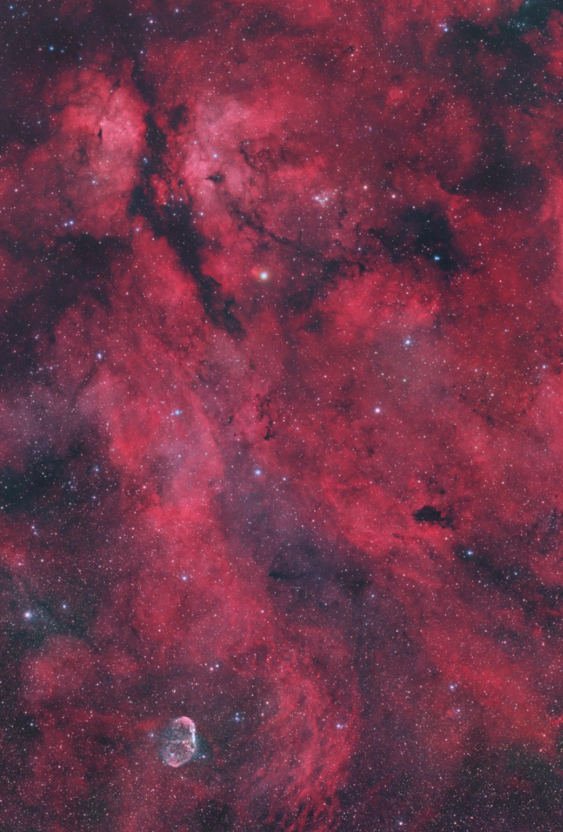R Doradus