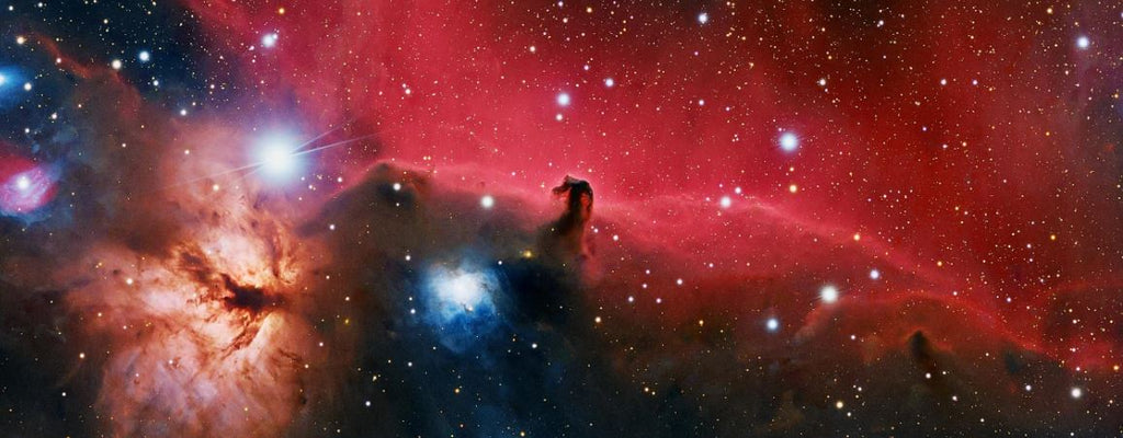 Horsehead sample